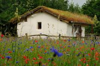 Wildblumenwiese am Strohballenhaus © NABU-Naturschutzhof Nettetal